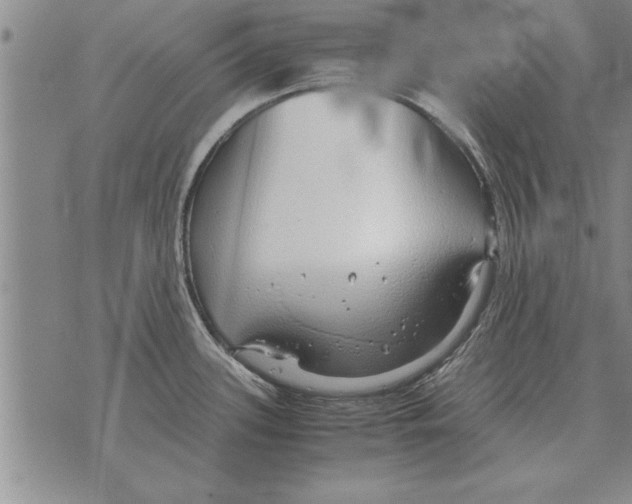 X0000071831339200607290033