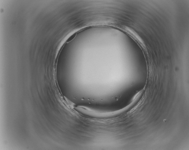 X0000071831340200607290033