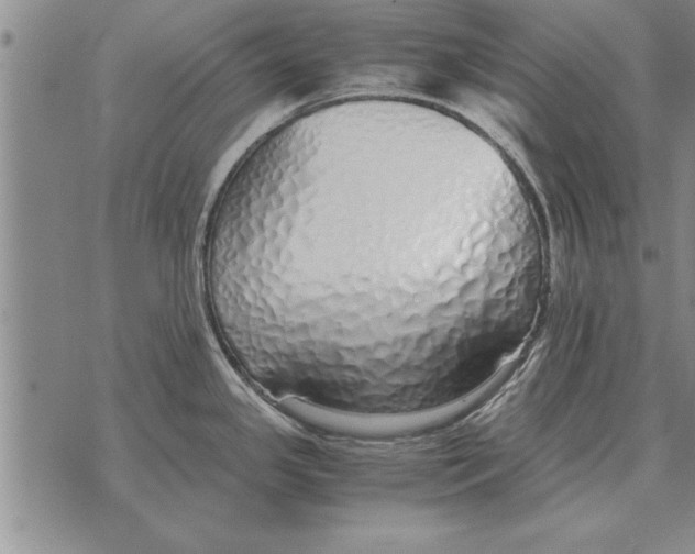 X0000071831341200607290033