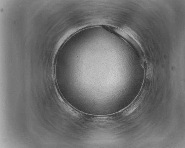 X0000071831342200607290033