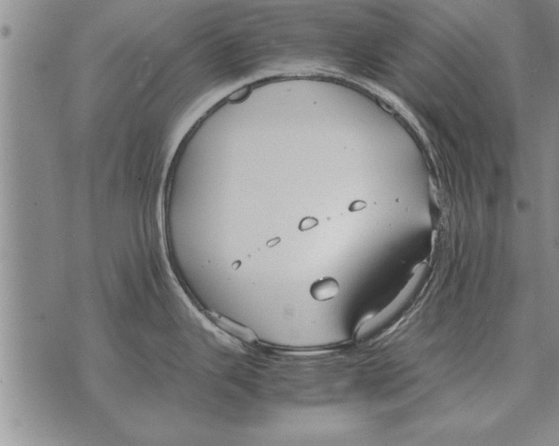 X0000071831343200607290033