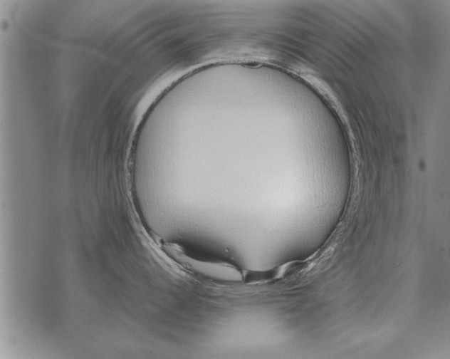 X0000071831344200607290033