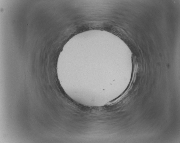 X0000071831345200607290032