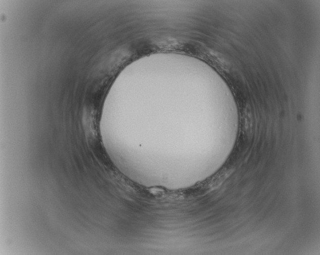 X0000071831346200607290032