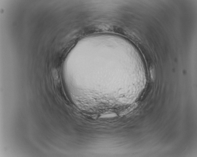 X0000071831347200607290032