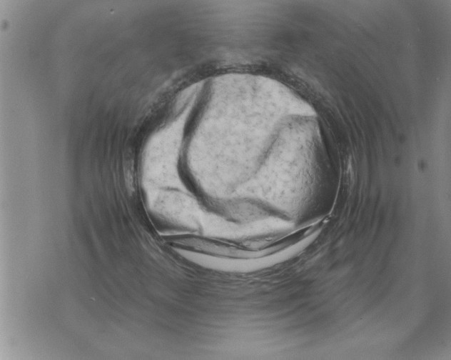 X0000071831348200607290032