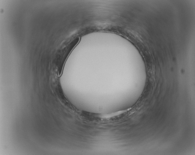 X0000071831349200607290032