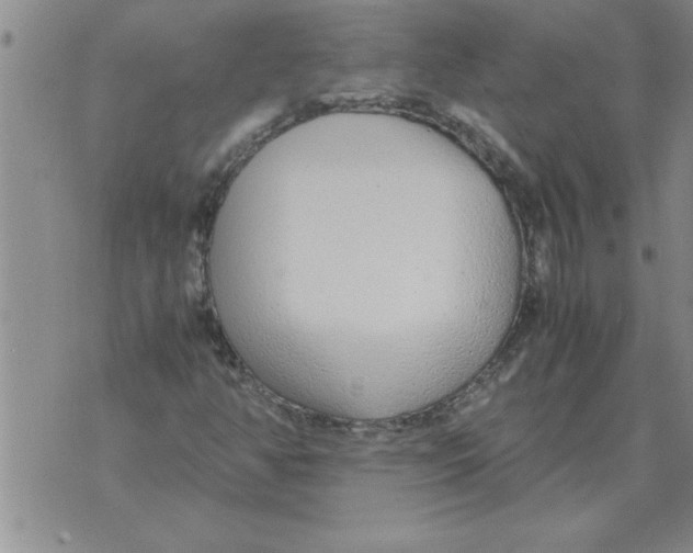 X0000071831350200607290032