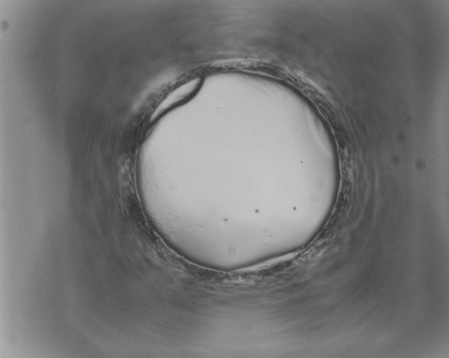 X0000071831351200607290032