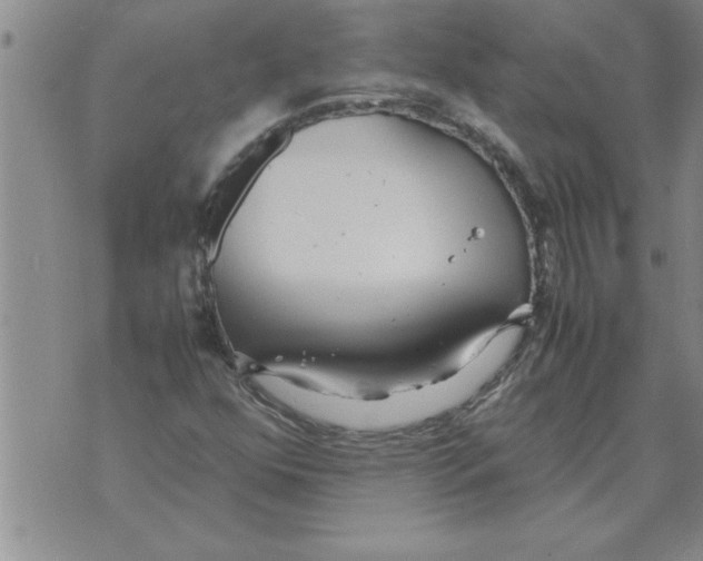 X0000071831352200607290032