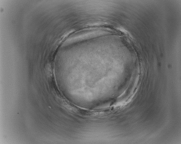 X0000071831353200607290032