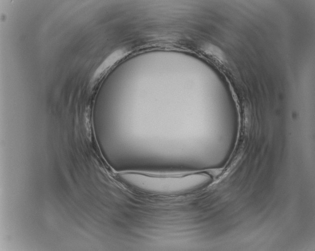 X0000071831354200607290032