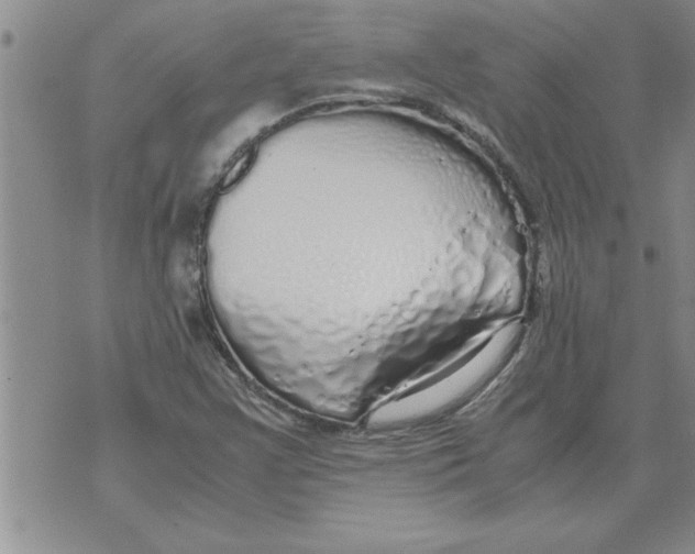 X0000071831355200607290032