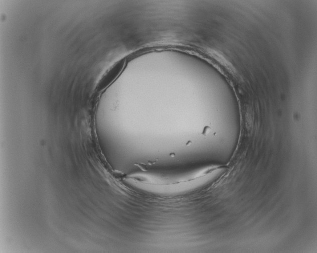 X0000071831356200607290032