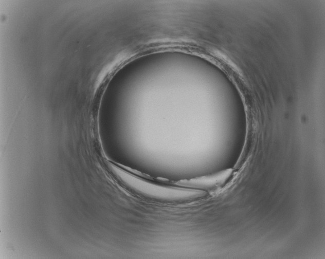 X0000071831357200607290032