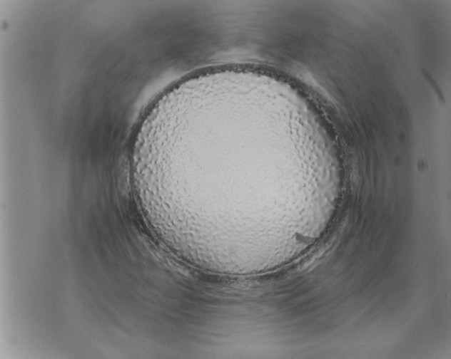 X0000071831358200607290032