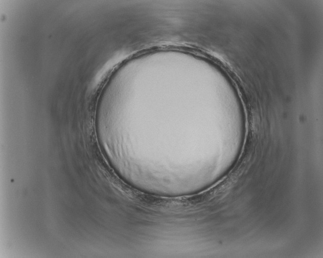 X0000071831359200607290032