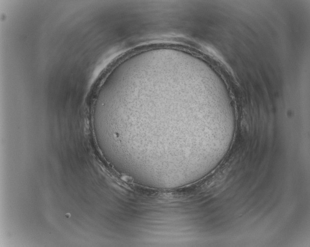 X0000071831360200607290032