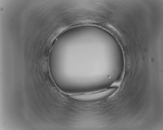 X0000071831361200607290032