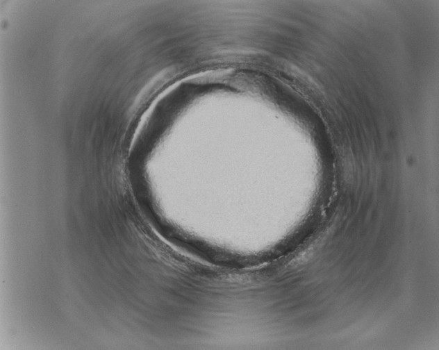 X0000071831362200607290032