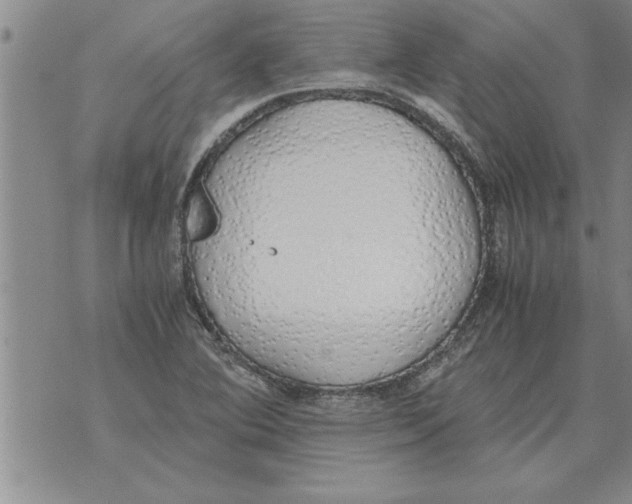 X0000071831364200607290032