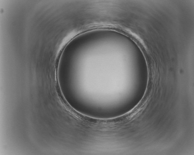 X0000071831365200607290032