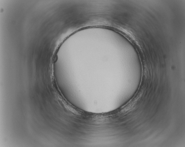 X0000071831366200607290032