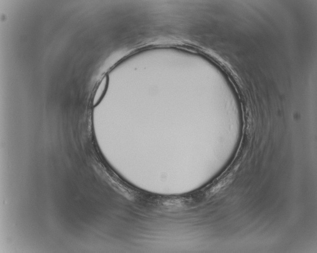 X0000071831367200607290032