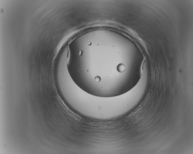 X0000071831368200607290032