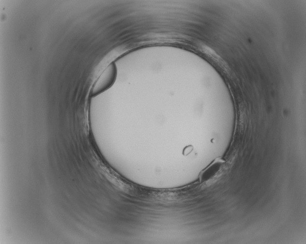 X0000071831370200607290032