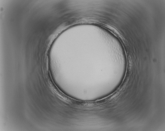 X0000071831371200607290031