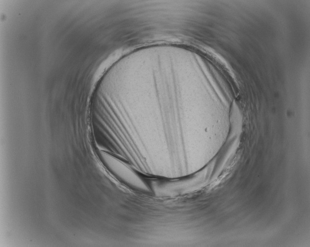 X0000071831373200607290031