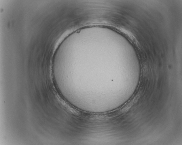 X0000071831374200607290031