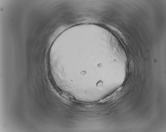 X0000071831375200607290031