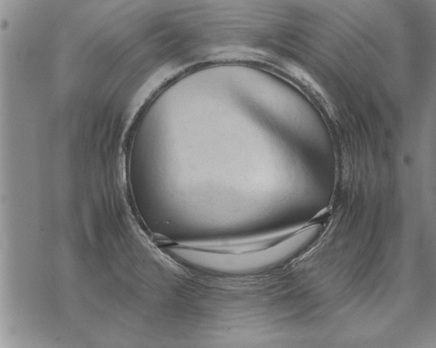 X0000071831376200607290031