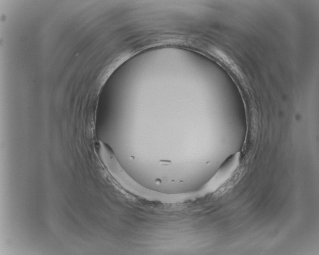 X0000071831377200607290031