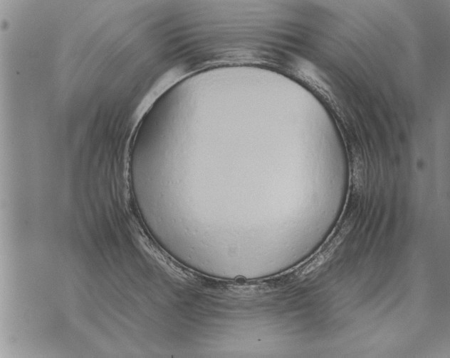 X0000071831378200607290031