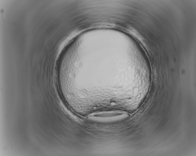 X0000071831379200607290031