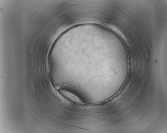 X0000071831380200607290031