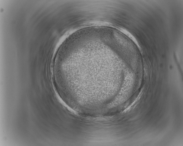 X0000071831381200607290031