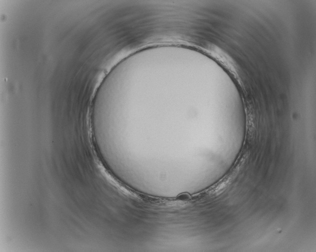 X0000071831382200607290031