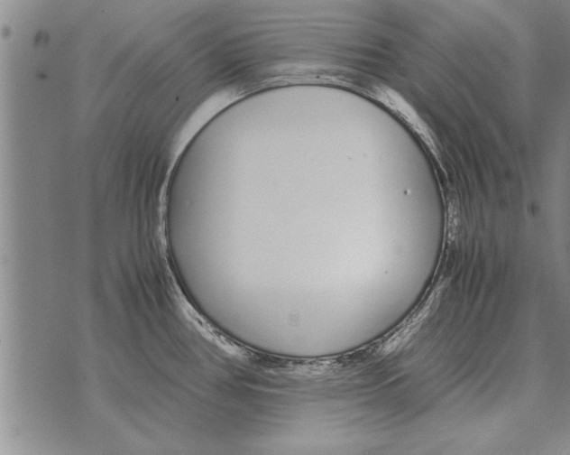 X0000071831386200607290031