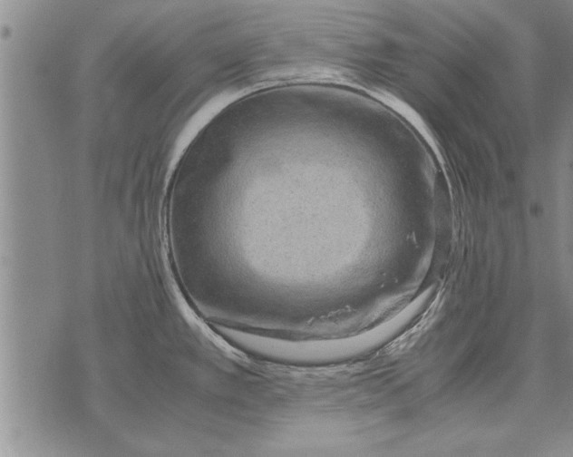 X0000071831389200607290031