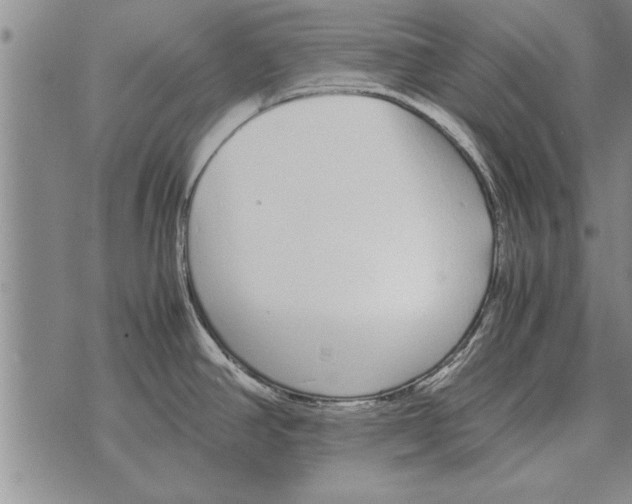 X0000071831390200607290031