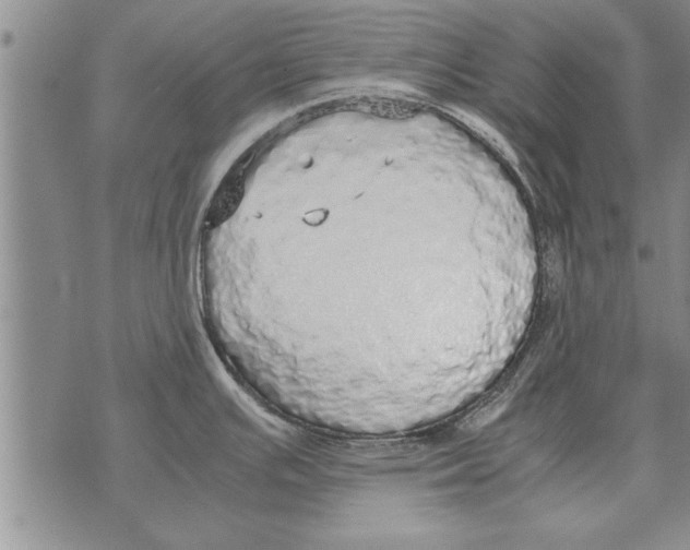 X0000071831391200607290031