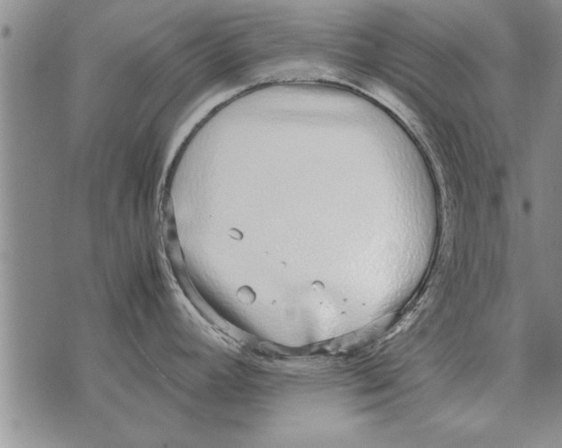 X0000071831392200607290031