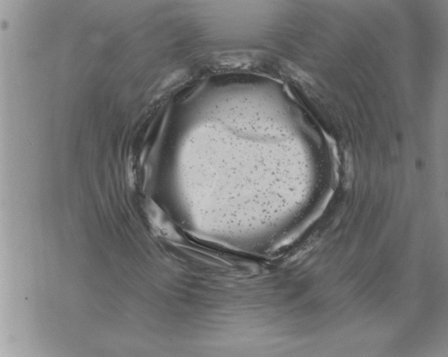 X0000071831394200607290030