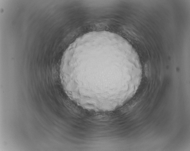 X0000071831395200607290030