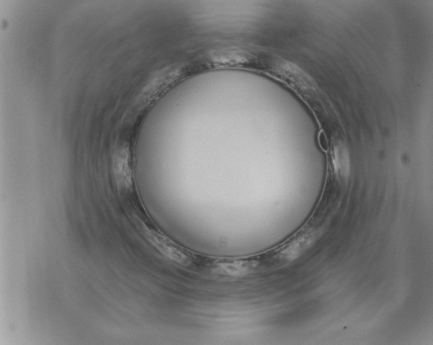 X0000071831396200607290030