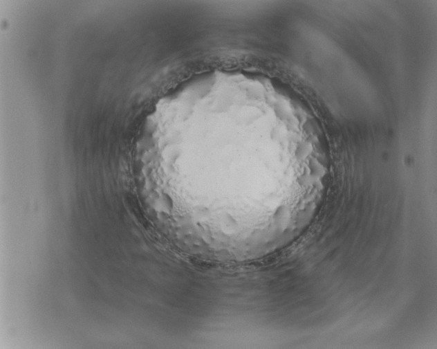 X0000071831397200607290030